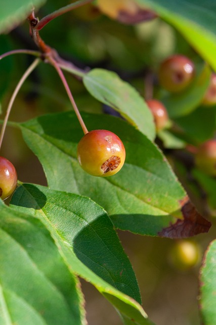 更是一种精 更是一种精