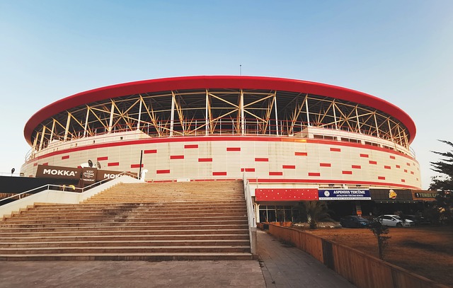 借鉴案例分 借鉴案例分