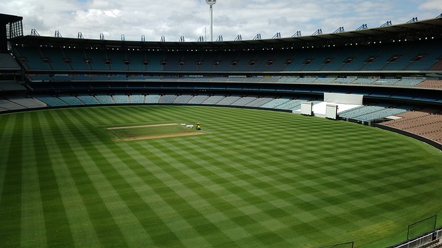 导致有些球 导致有些球