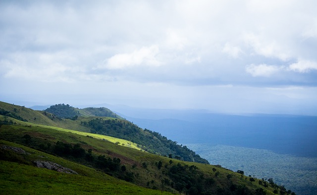 犀利评论 犀利评论