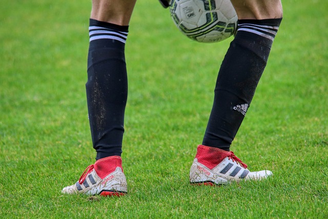 诺克爱好者 诺克爱好者